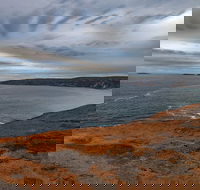 Kangaroo Island Luxury Small Group 'Flinders Chase Focus' Full Day Tour - Accommodation Resorts