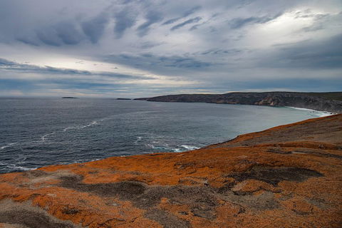 Kangaroo Island Luxury Small Group 'Flinders Chase Focus' Full Day Tour - Accommodation Resorts 0
