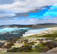 Kangaroo Island Luxury Small Group 'East End Explorer' Full Day Tour - Accommodation Resorts