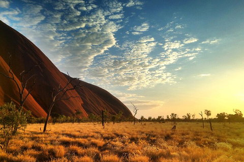 Highlights Of Uluru Including Sunrise And Breakfast - Accommodation Resorts 0