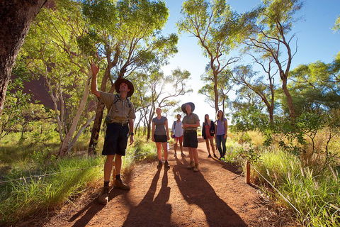 Uluru Small Group Tour Including Sunset - Accommodation Resorts 0