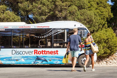 Discover Rottnest With Ferry & Bus Tour From Perth Or Fremantle - Accommodation Resorts 1