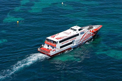Discover Rottnest With Ferry & Bus Tour From Perth Or Fremantle - Accommodation Resorts 3