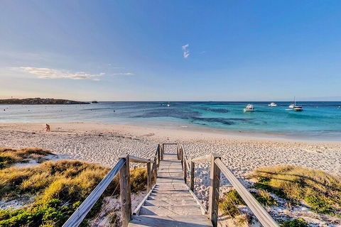 Discover Rottnest With Ferry & Bus Tour From Perth Or Fremantle - Accommodation Resorts 4