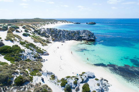 Discover Rottnest With Ferry & Bus Tour From Perth Or Fremantle - Accommodation Resorts 5