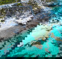 Rottnest Island Round-Trip Ferry from Perth or Fremantle - Accommodation Resorts
