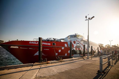 Rottnest Island Round-Trip Ferry From Perth Or Fremantle - Accommodation Resorts 2