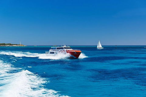 Rottnest Island Round-Trip Ferry From Perth Or Fremantle - Accommodation Resorts 4