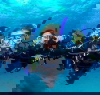 Great Barrier Reef Diving and Snorkeling Cruise from Cairns - Accommodation Resorts