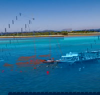 Ocean Free Green Island  Great Barrier Reef Snorkel Cruise Cairns 25 guests - Accommodation Resorts