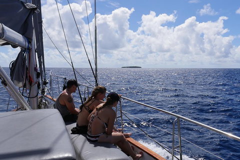 Ocean Free Green Island & Great Barrier Reef Snorkel Cruise, Cairns 25 Guests - Accommodation Resorts 4