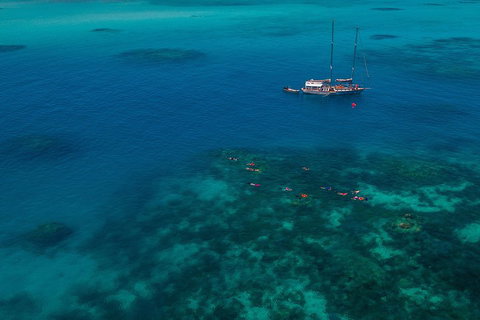 Ocean Free Green Island & Great Barrier Reef Snorkel Cruise, Cairns 25 Guests - Accommodation Resorts 5