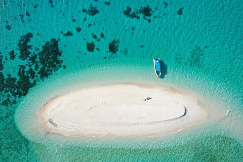 Ocean Safari Great Barrier Reef Experience In Cape Tribulation - Accommodation Resorts 3