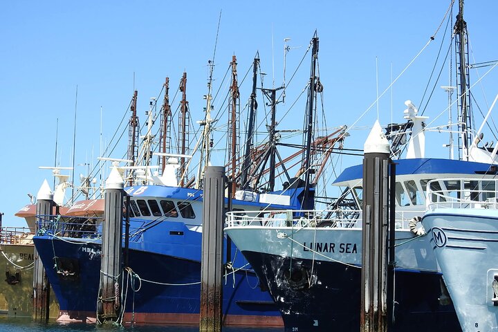  Accommodation Resorts