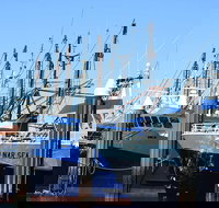 One Day Port Lincoln Tour - Tasting Eyre - Accommodation Resorts