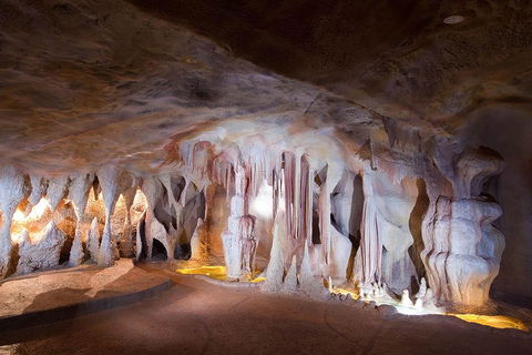 Springbrook AndTamborine Rainforest Tour Incl Natural Bridge And Glow Worm Cave - Accommodation Resorts 4