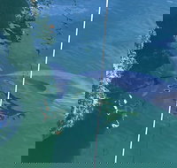 Dolphin Cruise from Adelaide with Optional Dolphin Swim - Accommodation Resorts