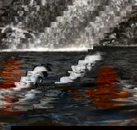 3 Day 4WD Dragonfly Dreaming Top End Safari - Accommodation Resorts