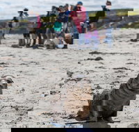 Kangaroo Island in a Day Tour from Adelaide - Accommodation Resorts