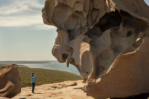 Kangaroo Island In A Day Tour From Adelaide - Accommodation Resorts 5