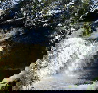 Cradle Mountain Day Tour from Launceston Including Lunch - Accommodation Resorts