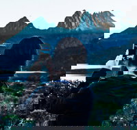 Cradle Mountain Park Explorer Guided Tour - Accommodation Resorts