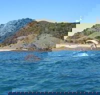 Kayaking with Dolphins in Byron Bay Guided Tour - Accommodation Resorts