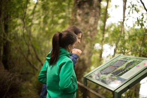 Strahan Day Trip By Air From Hobart Including A Gordon River Cruise - Accommodation Resorts 5