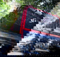 Blue Mountains Hop-on Hop-off Tour with Optional Scenic World Rides - Accommodation Resorts