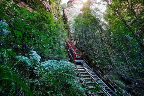 Blue Mountains Private Tour With Kangaroos & Koala Encounter - Accommodation Resorts 1