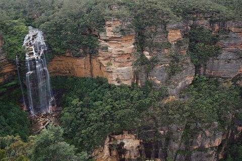 Blue Mountains Private Tour With Kangaroos & Koala Encounter - Accommodation Resorts 2