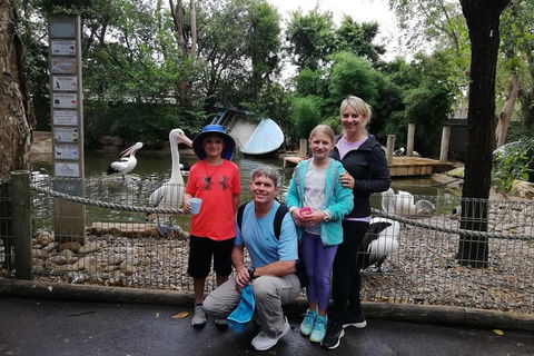 Blue Mountains Private Tour With Kangaroos & Koala Encounter - Accommodation Resorts 4