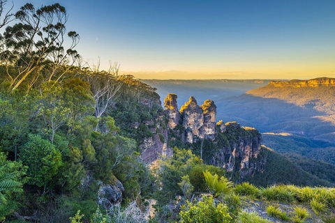 Blue Mountains Private Tour With Kangaroos & Koala Encounter - Accommodation Resorts 5