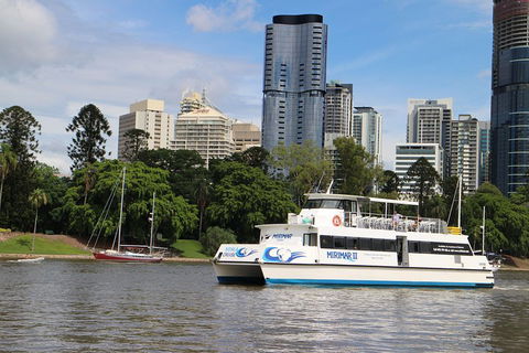 Lone Pine Koala Sanctuary Admission With Brisbane River Cruise - Accommodation Resorts 2