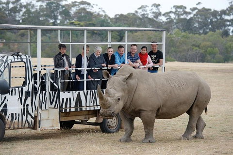 Off-Road Safari At Werribee Open Range Zoo - Accommodation Resorts 0
