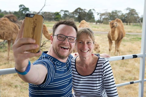 Off-Road Safari At Werribee Open Range Zoo - Accommodation Resorts 1