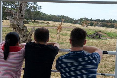 Off-Road Safari At Werribee Open Range Zoo - Accommodation Resorts 4