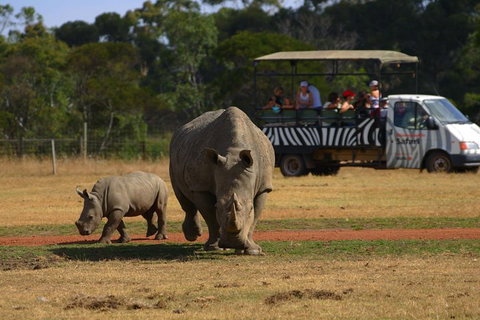 Off-Road Safari At Werribee Open Range Zoo - Accommodation Resorts 5