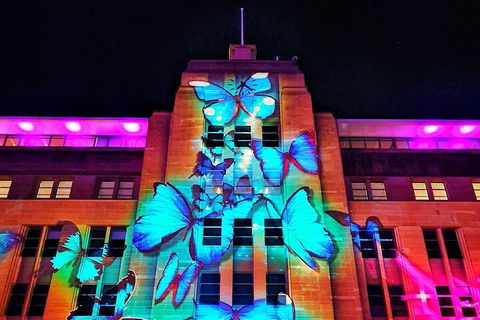 Vivid 90-Minute Sydney Harbour Small Group Catamaran Cruise - Accommodation Resorts 0