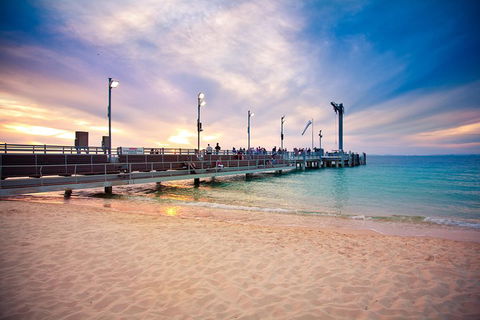 Tangalooma Island Resort Whale Watching Day Cruise With Dolphin Viewing - Accommodation Resorts 3