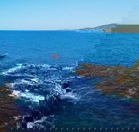 Julian Rocks Byron Bay Cruise - Accommodation Resorts