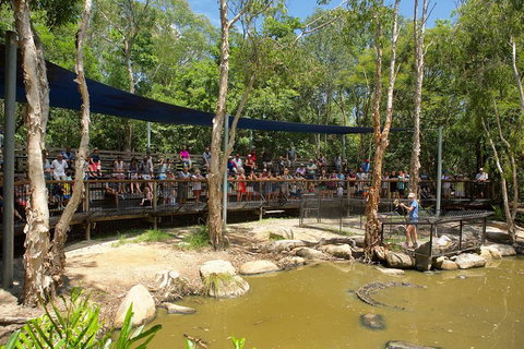 Hartley's Crocodile Adventures Breakfast With The Koalas - Accommodation Resorts 1