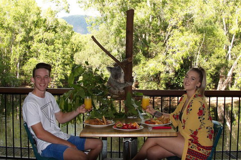 Hartley's Crocodile Adventures Breakfast With The Koalas - Accommodation Resorts 5