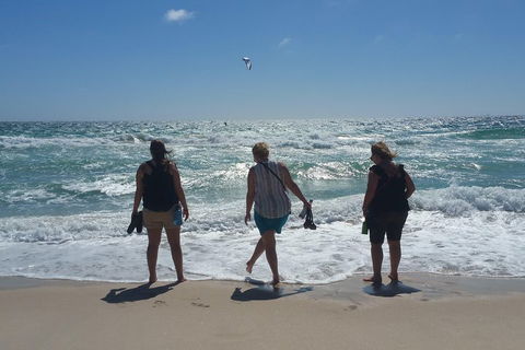 Very Best Of Perth Tour - Wildlife Park & City Highlights Tour - Accommodation Resorts 5