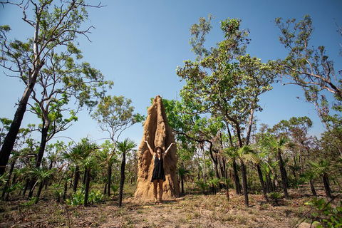 Litchfield National Park - Top End Day Tour From Darwin - Accommodation Resorts 5