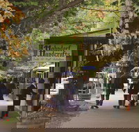 Adelaide Highlights Hahndorf  McLaren Vale Wine Tasting and Sightseeing Tour - Accommodation Resorts