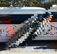 Mount Tamborine Wine Tasting Tour from Brisbane or the Gold Coast - Accommodation Resorts