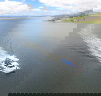 2.5 hour Afternoon Discovery Cruise including Cataract Gorge departs at 1 30 pm - Accommodation Resorts