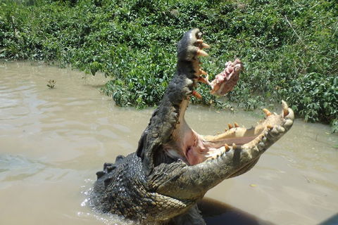 Litchfield And Jumping Crocodiles Full Day Trip From Darwin - Accommodation Resorts 3