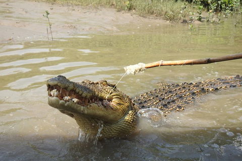Litchfield And Jumping Crocodiles Full Day Trip From Darwin - Accommodation Resorts 4
